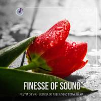 Finese of Sound 1 – Bartosz Domagała na CD